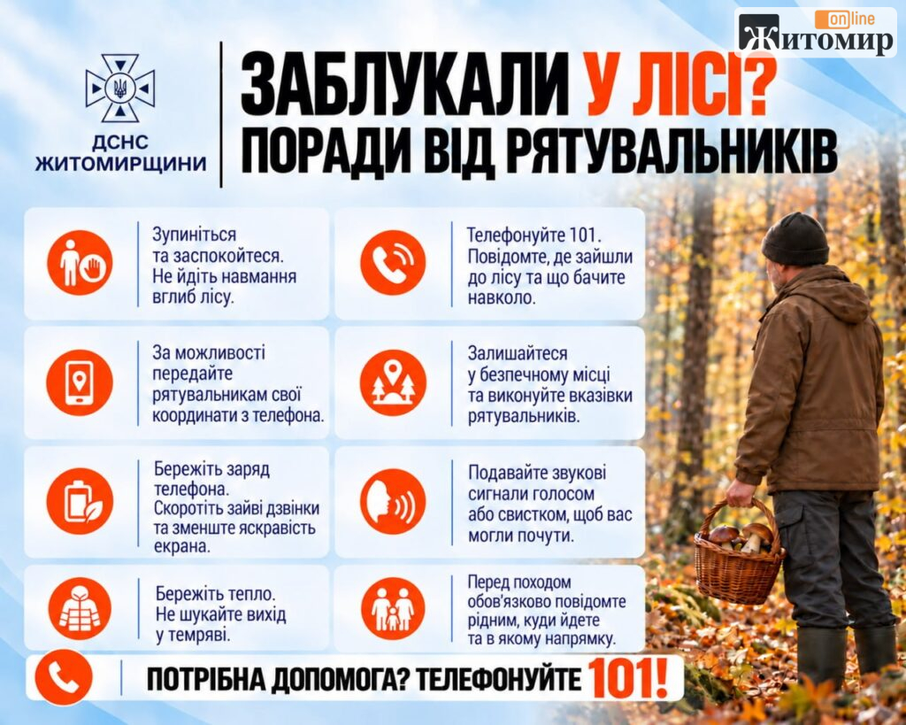Не йдіть навмання і бережіть заряд телефона: що робити, якщо заблукали у лісі - Інформація. Джерело: Zhitomir-OnLine Не йдіть навмання і бережіть заряд телефона: що робити, якщо заблукали у лісі - фото №