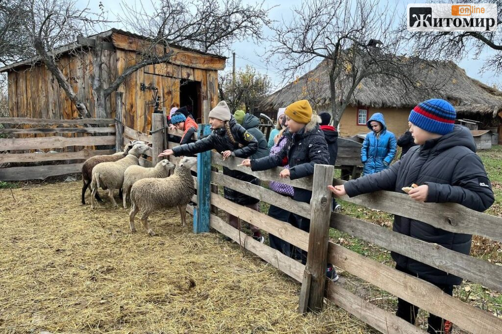 Гарбузові частування, козацькі квести й фарби за давніми рецептами: куди повезти дітей із Житомира на осінні канікули - Події, Афіша, Культура. Джерело: Zhitomir-OnLine 2f21bc20701f5c5b