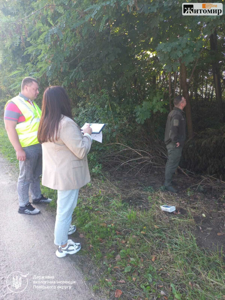 На Житомирщині обстежили аварійні дерева у трьох громадах
