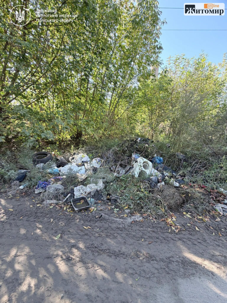 У Житомирі вздовж вулиці Андріївської знову виявили стихійні сміттєзвалища - Події. Джерело: Zhitomir-OnLine У Житомирі вздовж вулиці Андріївської знову виявили стихійні сміттєзвалища