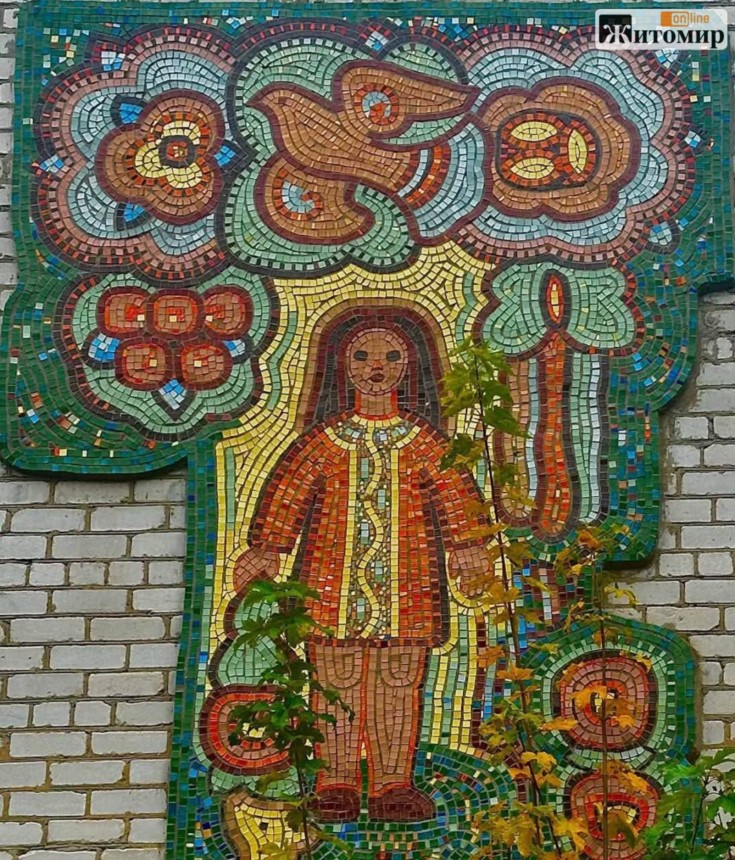 835886716_952859127893701_3893933596907146127_n Дві мозаїки зі старого дитсадка на Польовій у Житомирі збережуть перед демонтажем будівлі