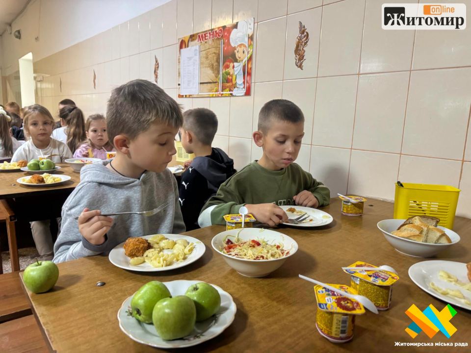 840953131_1471081904909077_1003776801278337334_n Харчова міль і холодні страви: у житомирському ліцеї перевіряють їдальню
