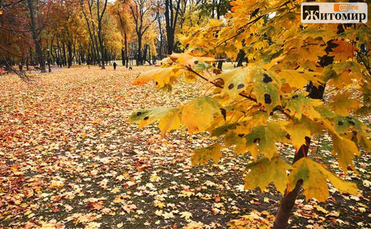 856 Хмарно та до +14 °C: якою буде погода на Житомирщині цього тижня