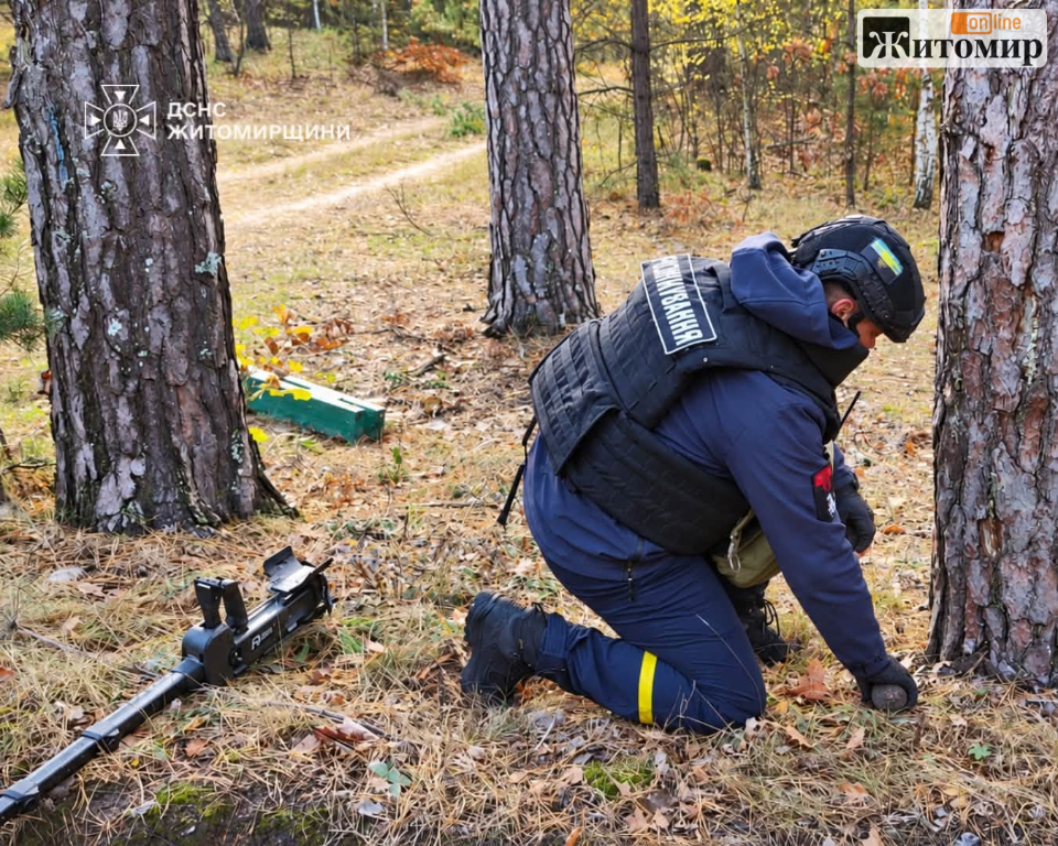 У лісі Житомирського району грибники натрапили на небезпечну знахідку - Події. Джерело: Zhitomir-OnLine У лісі Житомирського району грибники натрапили на небезпечну знахідку