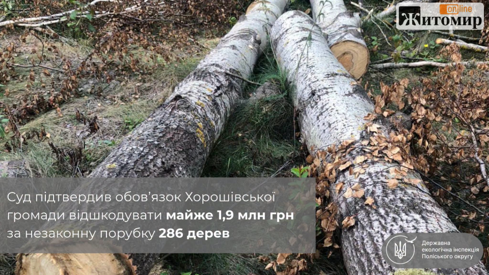 858457957_1662242505269743_6012505591691042361_n Зрубали 286 дерев на площі понад 3 га: суд зобов’язав Хорошівську громаду відшкодувати збитки