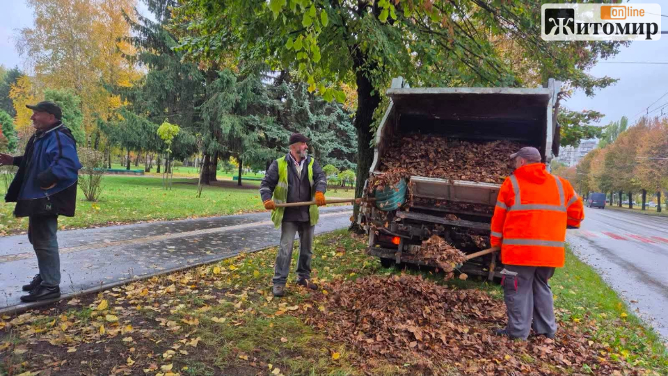 858606966_1405724548399415_1749152346797908335_n Старий бульвар, Польова та Замкова гора: де у Житомирі прибирають опале листя