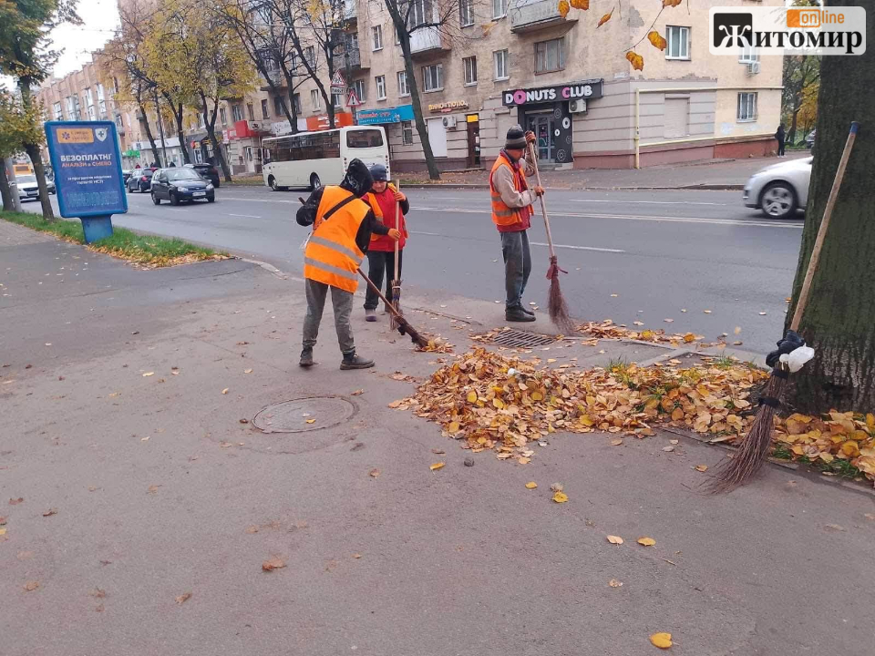 863928197_1411036377868232_6721567550408202282_n Листя прибирають, кущі висаджують: осінні роботи на вулицях Житомира