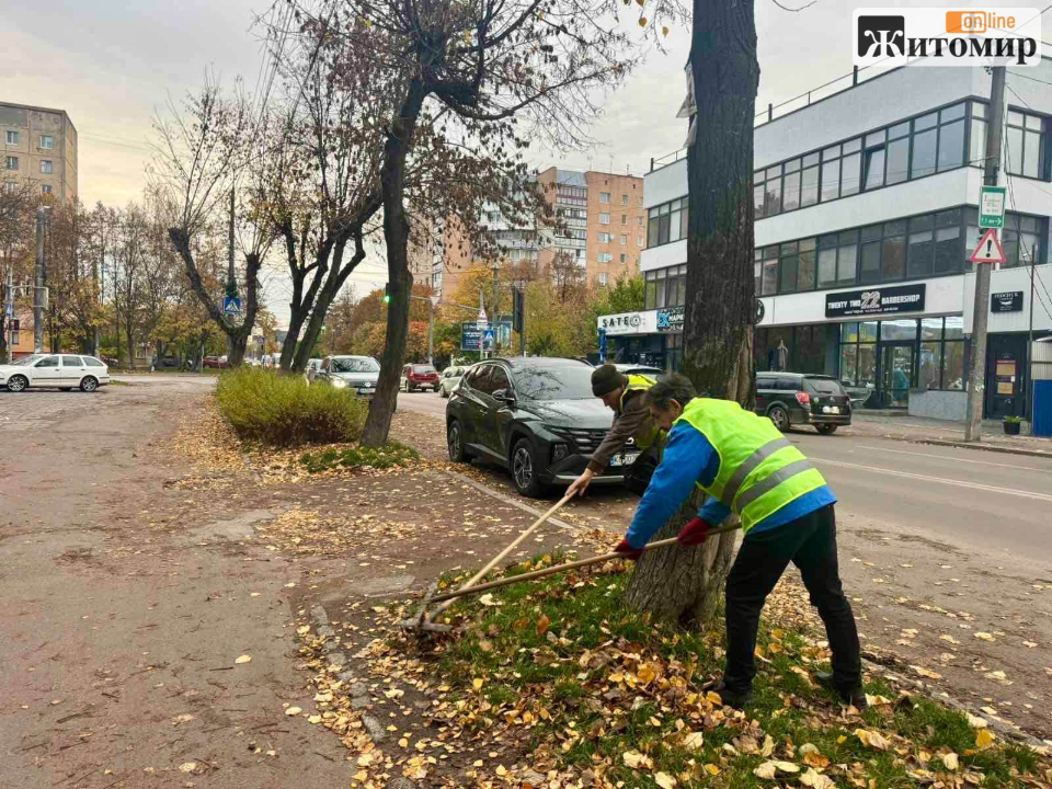 865308390_1413117050993498_1209231343499029445_n У Житомирі триває осіннє прибирання та озеленення