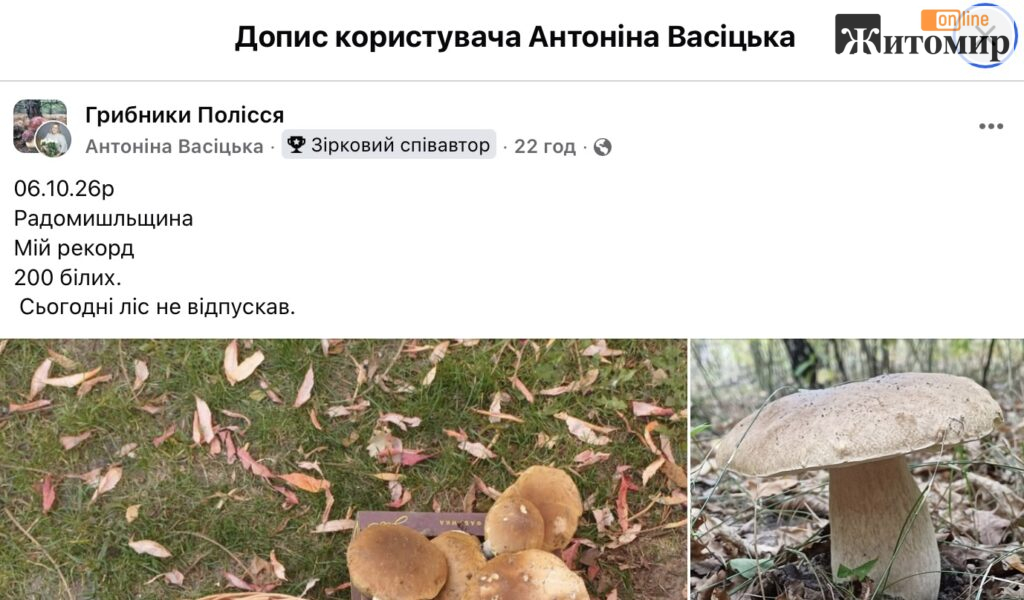 «Мій рекорд — 200 білих»: грибарка показала неймовірний улов із Радомишльщини - Корисна інформація Житомира та Житомирщини. Джерело: Zhitomir-OnLine «Мій рекорд — 200 білих»: грибарка показала неймовірний улов із Радомишльщини