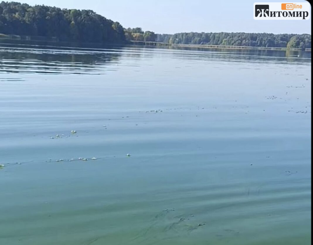 Житомиряни скаржаться на запах риби й болота з кранів: що каже водоканал і як очищують воду в Європі