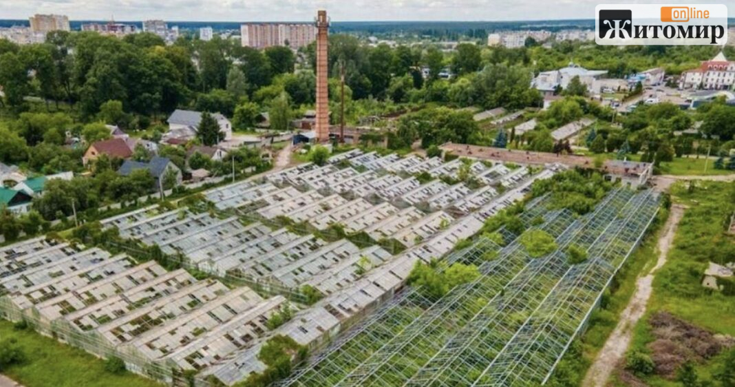 У Житомирі розчистили занедбану теплицю — тут планують створити 18 ділянок для агростартапів