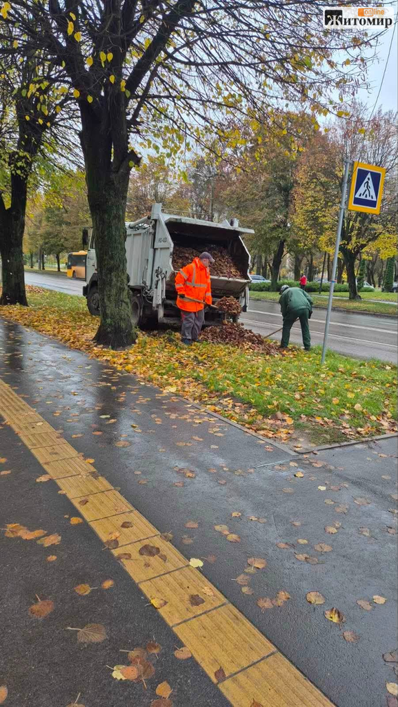 Старий бульвар, Польова та Замкова гора: де у Житомирі прибирають опале листя - Корисна інформація Житомира та Житомирщини. Джерело: Zhitomir-OnLine Старий бульвар, Польова та Замкова гора: де у Житомирі прибирають опале листя