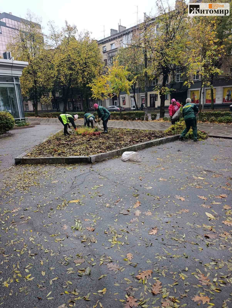 Старий бульвар, Польова та Замкова гора: де у Житомирі прибирають опале листя - Корисна інформація Житомира та Житомирщини. Джерело: Zhitomir-OnLine Старий бульвар, Польова та Замкова гора: де у Житомирі прибирають опале листя