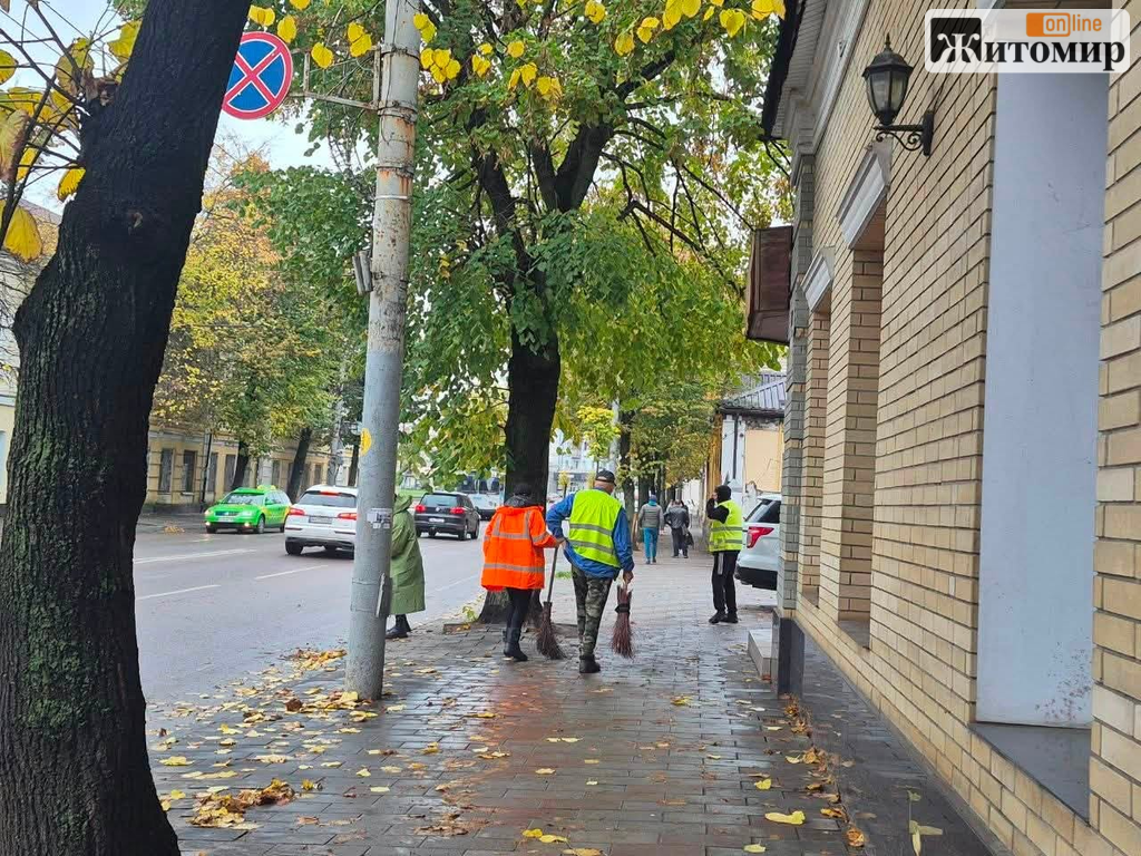 Старий бульвар, Польова та Замкова гора: де у Житомирі прибирають опале листя - Корисна інформація Житомира та Житомирщини. Джерело: Zhitomir-OnLine Старий бульвар, Польова та Замкова гора: де у Житомирі прибирають опале листя