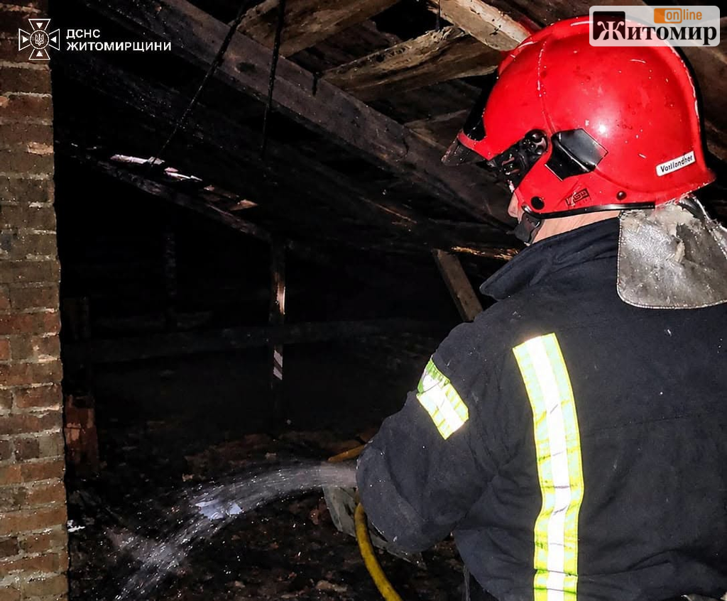 Під час пожежі у Житомирі з будинку винесли жінку, яка не могла самостійно пересуватися