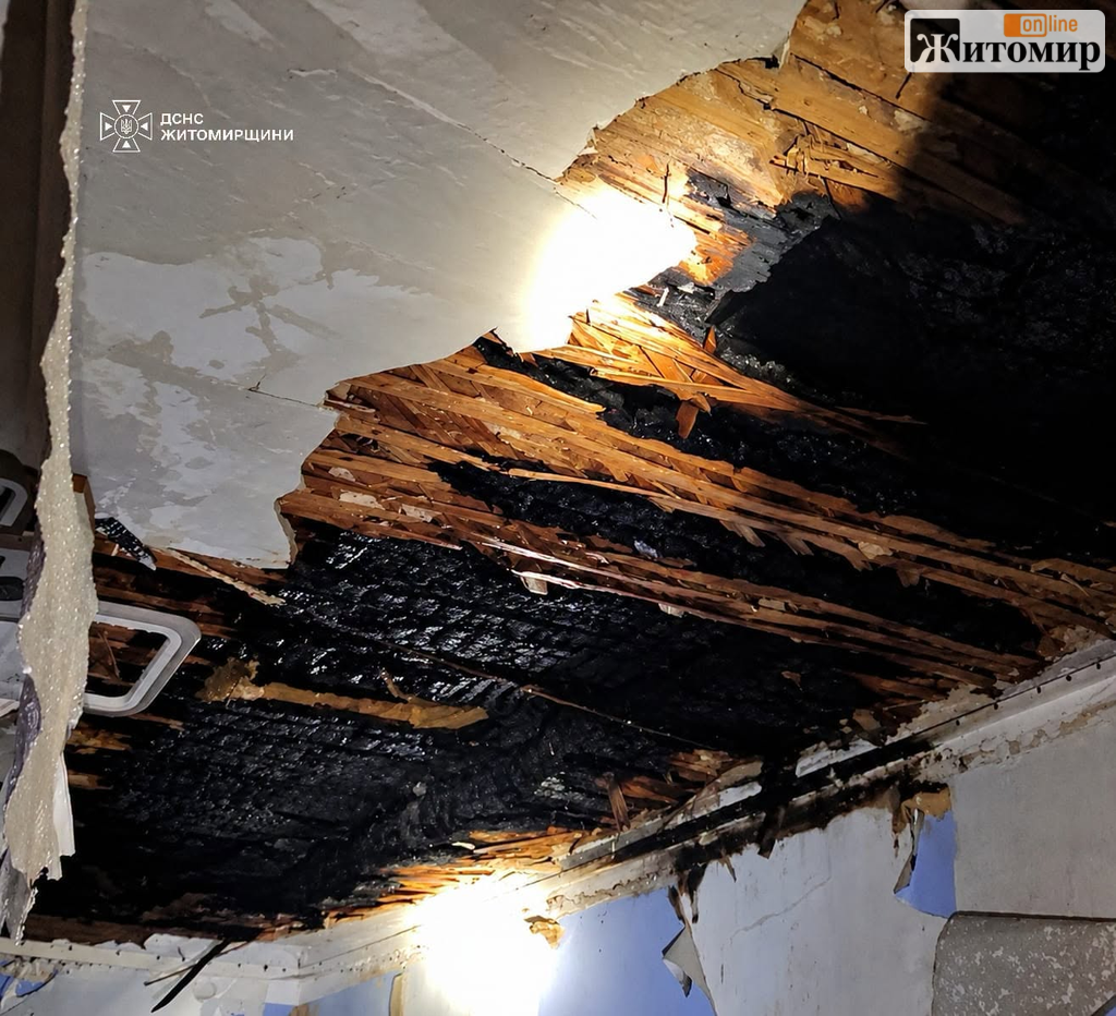 Під час пожежі у Житомирі з будинку винесли жінку, яка не могла самостійно пересуватися