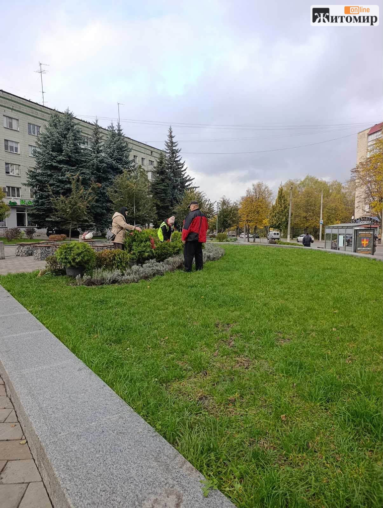 Листя прибирають, кущі висаджують: осінні роботи на вулицях Житомира - Корисна інформація Житомира та Житомирщини. Джерело: Zhitomir-OnLine Листя прибирають, кущі висаджують: осінні роботи на вулицях Житомира