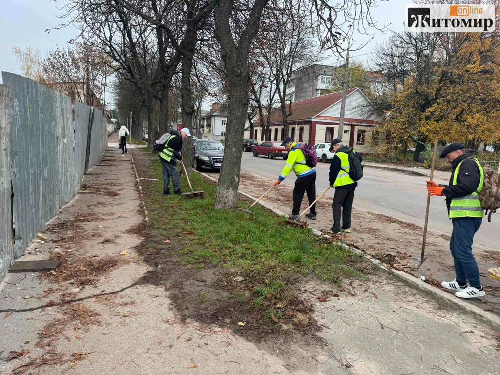 У Житомирі прибирають опале листя на міських вулицях
