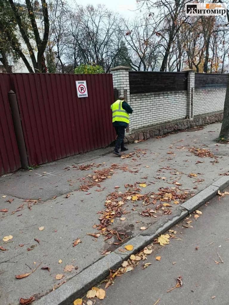 У Житомирі прибирають опале листя на міських вулицях