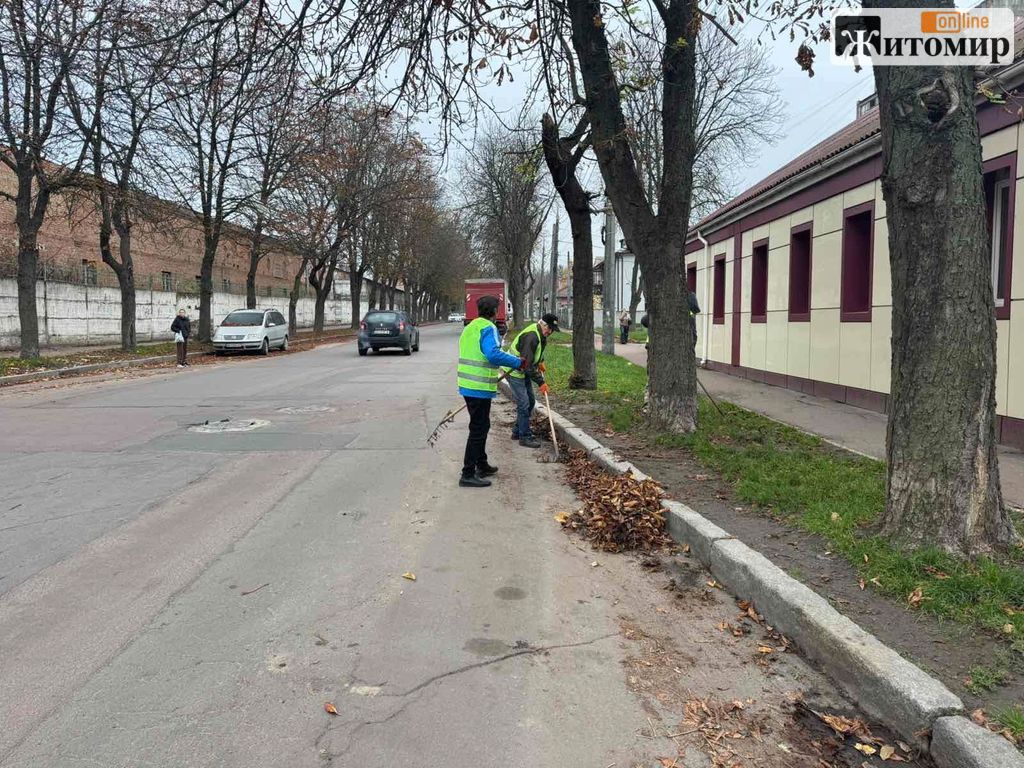 У Житомирі прибирають опале листя на міських вулицях