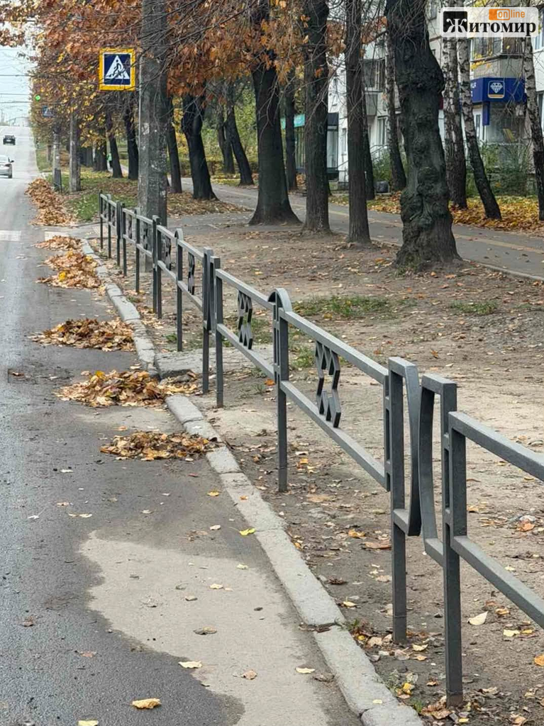У Житомирі прибирають опале листя на міських вулицях