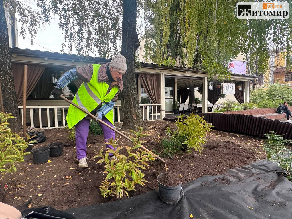 На Михайлівській у Житомирі висаджують багаторічні рослини та замінюють лавку - Корисна інформація Житомира та Житомирщини. Джерело: Zhitomir-OnLine На Михайлівській у Житомирі висаджують багаторічні рослини та замінюють лавку
