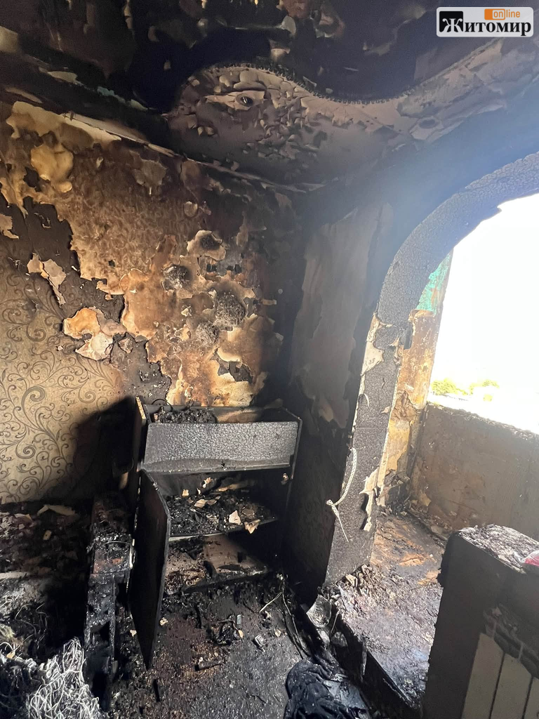 Бердичівлянка показала, що залишилося від її квартири після удару російського дрона та розповіла про загибель улюбленця - Події, Топ-новини. Джерело: Zhitomir-OnLine Бердичівлянка показала, що залишилося від її квартири після удару російського дрона та розповіла про загибель улюбленця