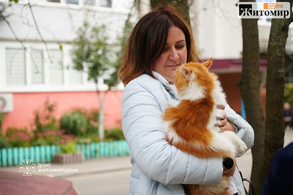 На руках і в переносках: як бердичівляни евакуювали тварин після атаки рф - Події. Джерело: Zhitomir-OnLine На руках і в переносках: як бердичівляни евакуювали тварин після атаки рф