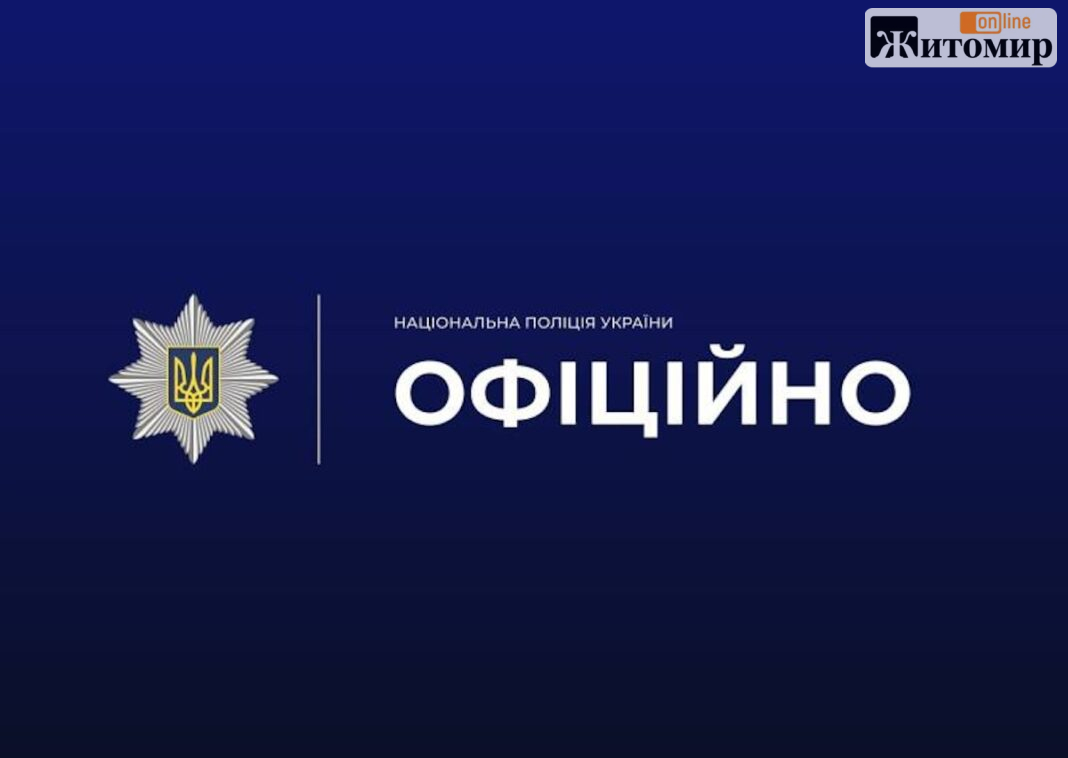 Поліція уточнила, як 17-річний житомирянин зірвався з мосту в парку Шодуара